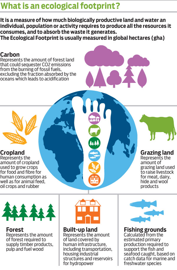 impronta ecologia