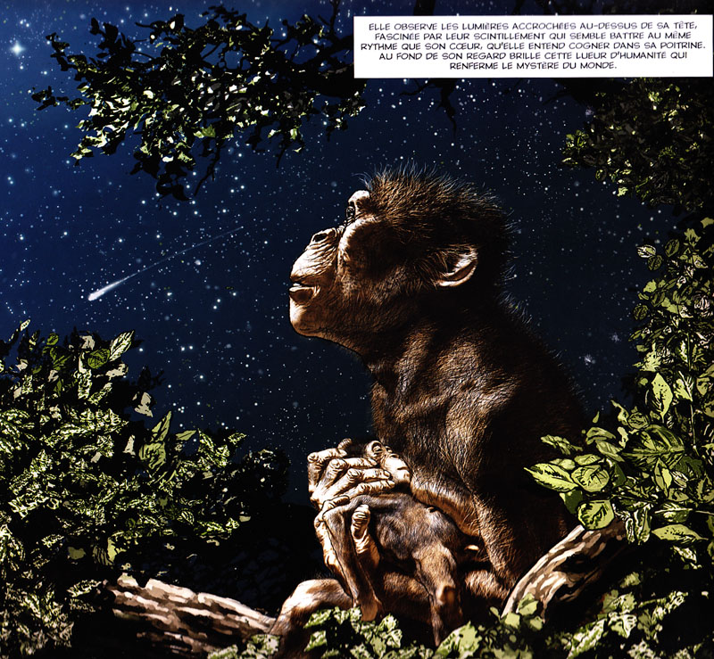 Lucy Australopithecus afarensis